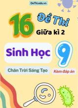 Tuyển tập 16 Đề thi giữa Kì 2 môn Sinh Học 9 sách Chân Trời Sáng Tạo (Kèm đáp án)